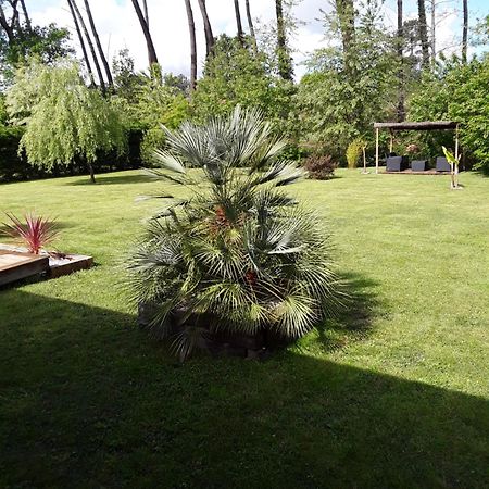 Chambre D'Hotes Les Iris A Mios Sur Le Bassin D'Arcachon Екстер'єр фото